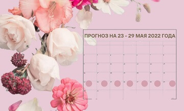 Рекомендации на 23 -29 мая 2022 года